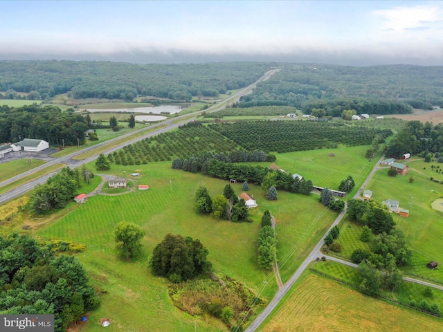 bird's eye view with a water view and a rural view