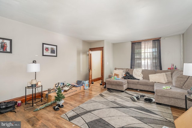 living room with light wood-type flooring