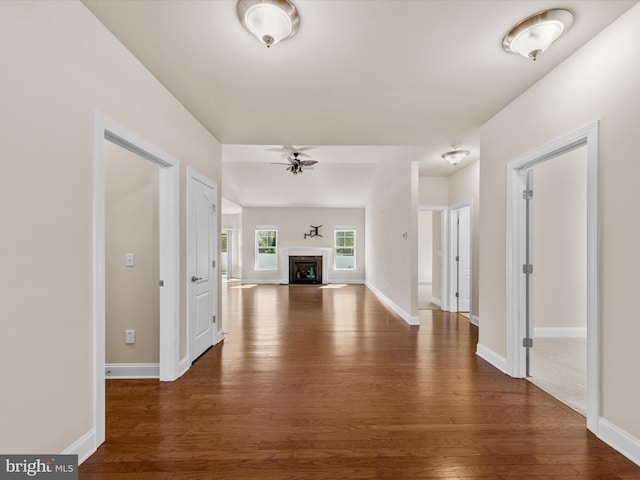 hall with dark wood-type flooring