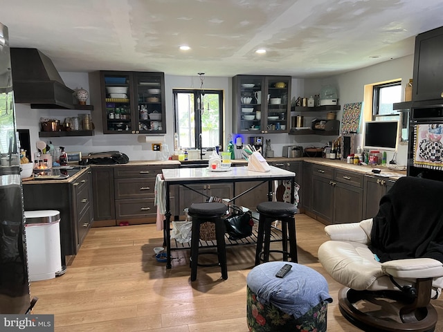 kitchen with ventilation hood and light hardwood / wood-style flooring