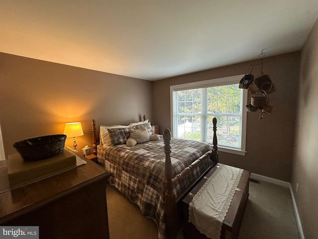 bedroom featuring carpet flooring