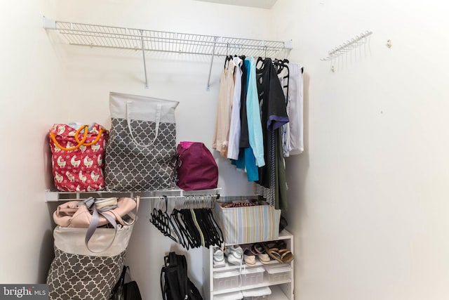 view of spacious closet