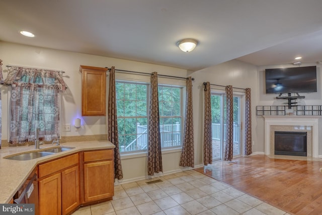 kitchen featuring dishwasher, light wood-type flooring, and sink