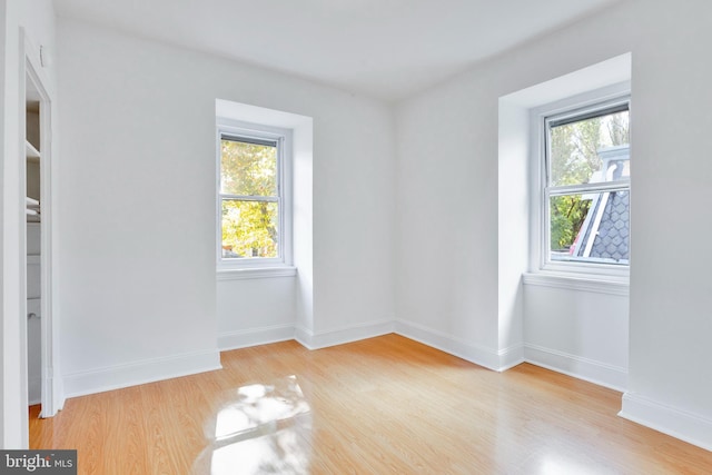 empty room featuring light hardwood / wood-style flooring and plenty of natural light