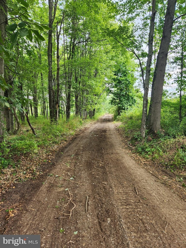 Old Durham Rd, Pipersville PA, 18947 land for sale