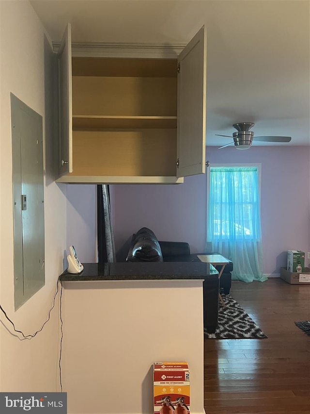 kitchen with ceiling fan, wood-type flooring, and electric panel