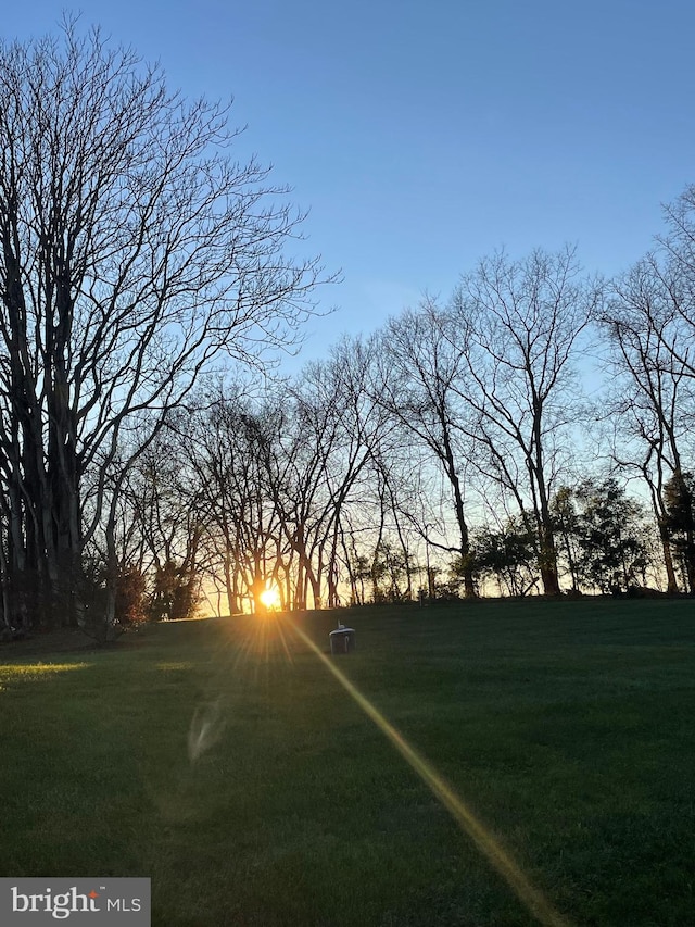 view of yard at dusk