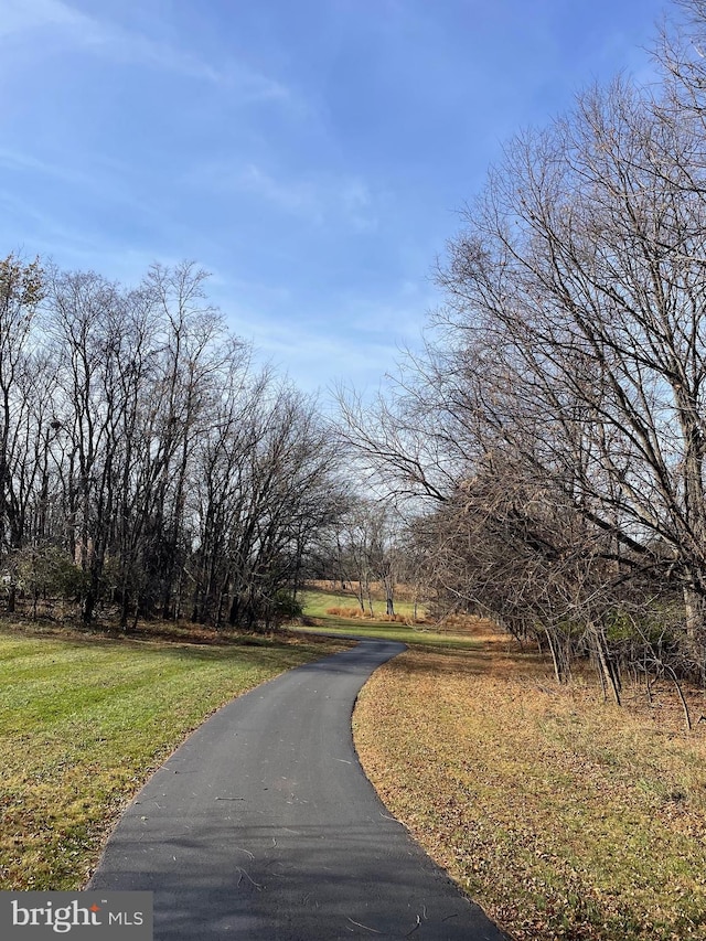 view of road