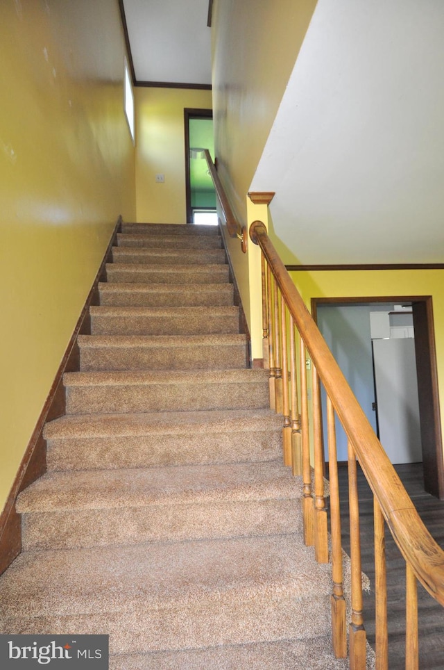 stairway featuring carpet floors and ornamental molding