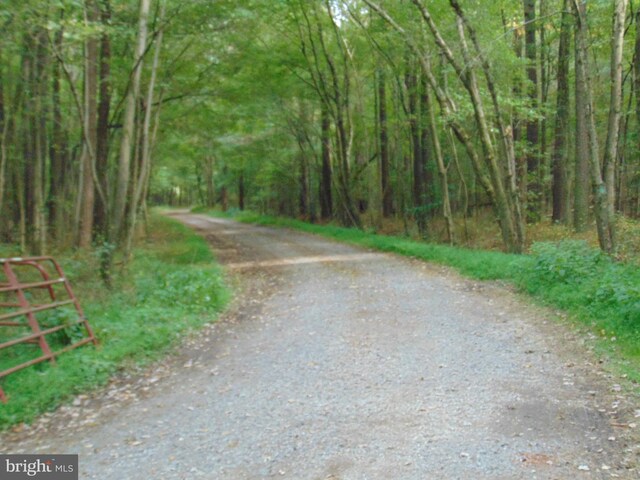 view of road