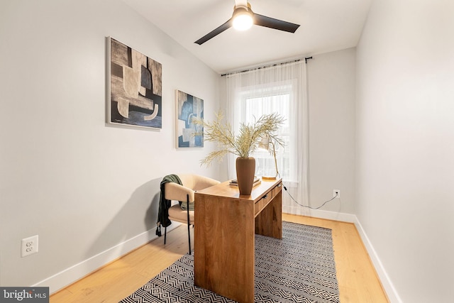 office area featuring hardwood / wood-style flooring and ceiling fan