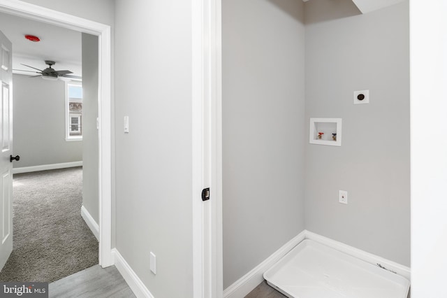 clothes washing area featuring ceiling fan, light carpet, hookup for a washing machine, and electric dryer hookup