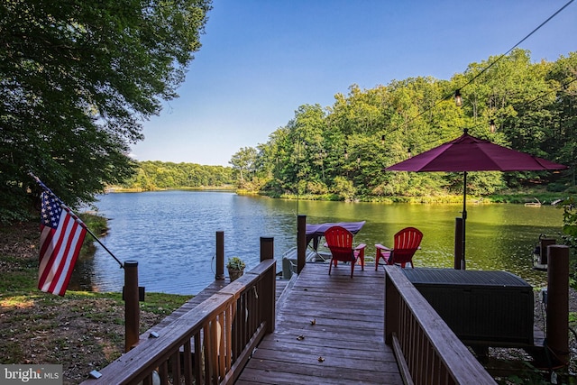 dock area with a water view