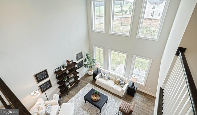 living room featuring a towering ceiling and dark wood-type flooring