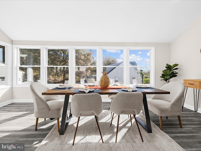 dining area with a wealth of natural light, lofted ceiling, and hardwood / wood-style flooring