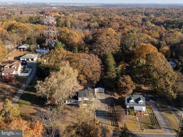 bird's eye view