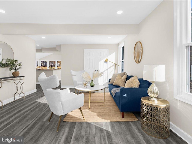 living room with dark wood-type flooring