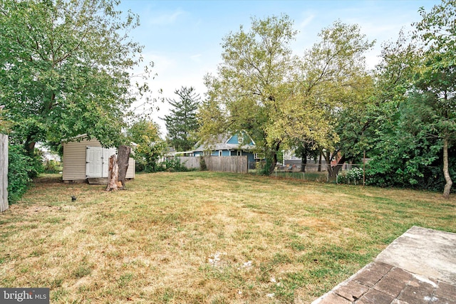 view of yard featuring a storage unit