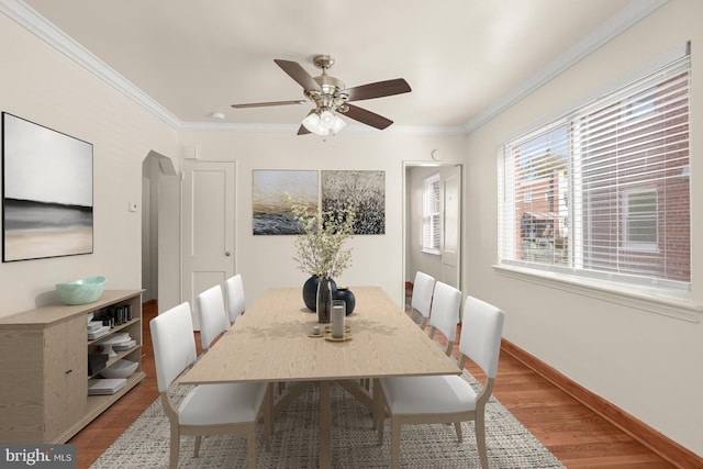 dining area featuring ceiling fan, ornamental molding, and light hardwood / wood-style floors