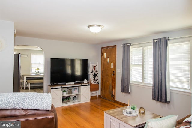 living room featuring light hardwood / wood-style floors