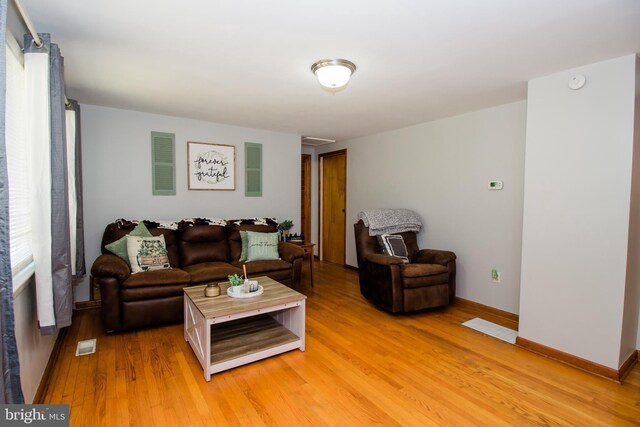 living room with wood-type flooring