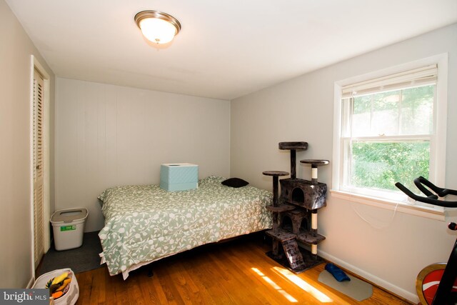 bedroom with wood-type flooring