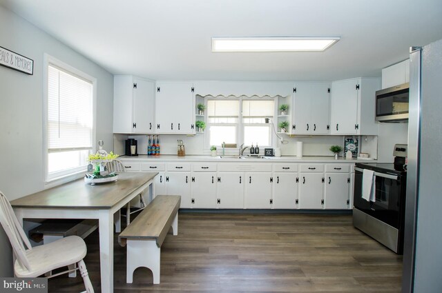 kitchen featuring stainless steel appliances, dark hardwood / wood-style floors, white cabinetry, and a healthy amount of sunlight