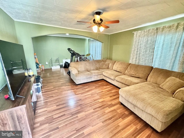 living room with wood-type flooring, crown molding, and ceiling fan