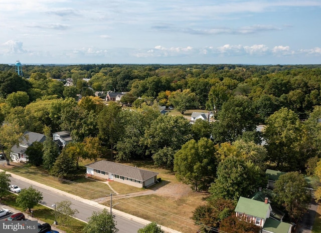 bird's eye view