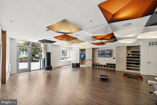 exercise room with hardwood / wood-style flooring, a wealth of natural light, and expansive windows