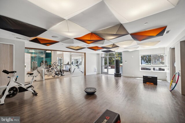 workout area featuring wood-type flooring