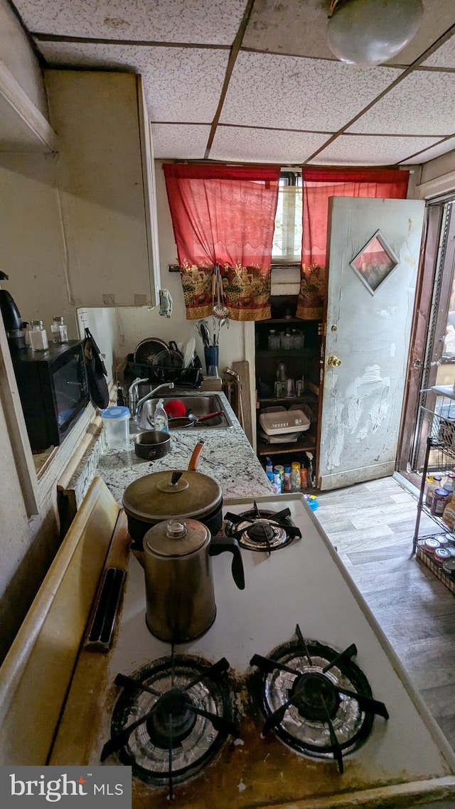 kitchen featuring hardwood / wood-style flooring, a paneled ceiling, and sink