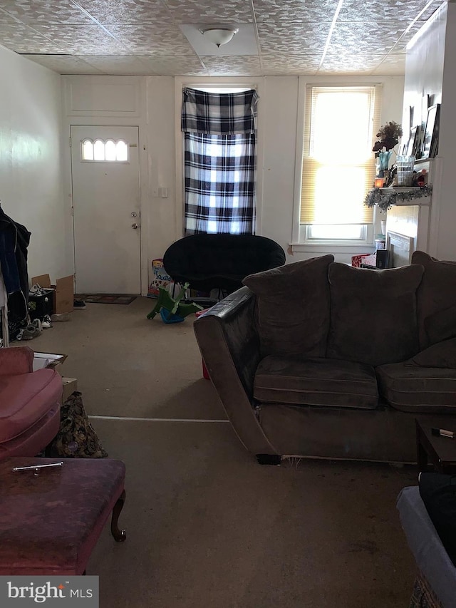 living room featuring carpet flooring