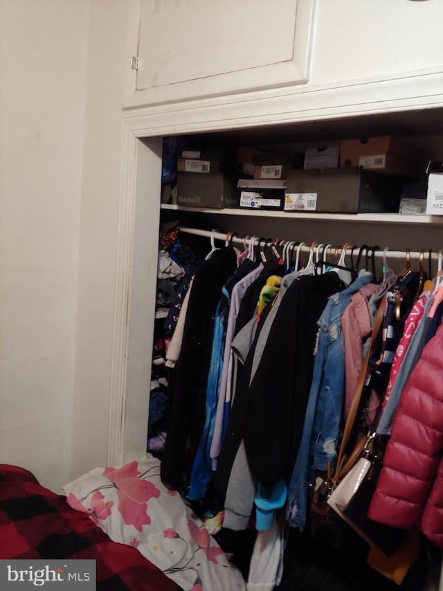 view of closet