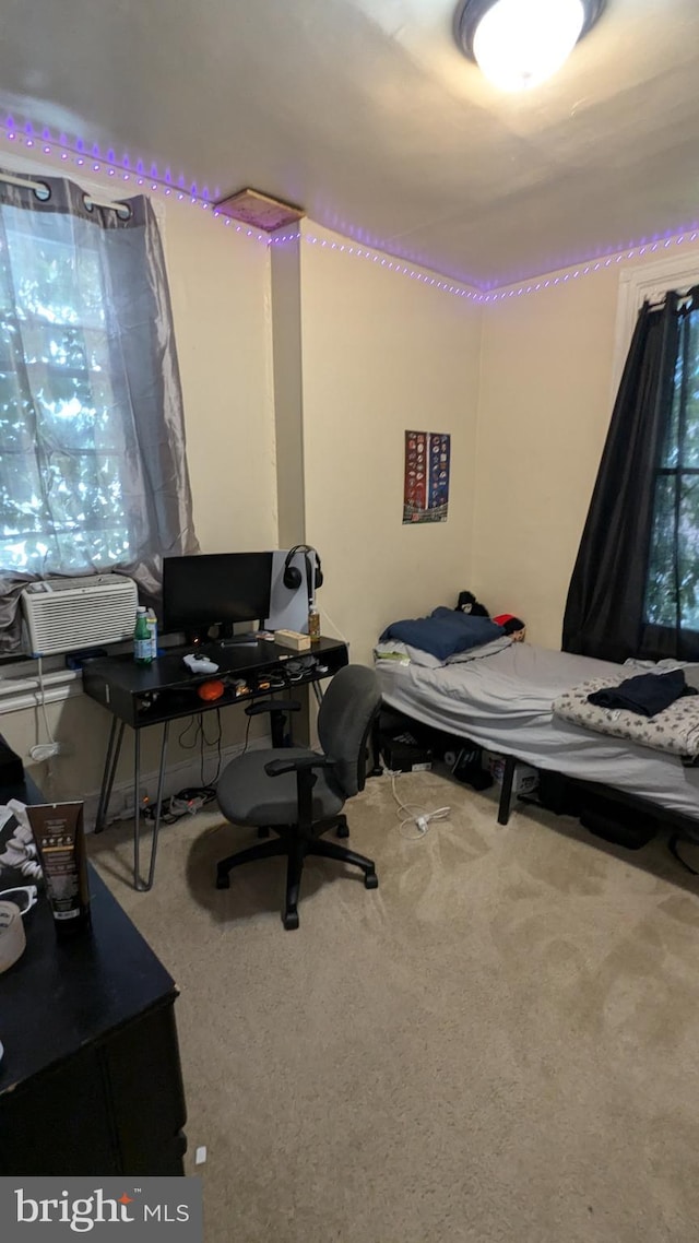 bedroom featuring carpet floors