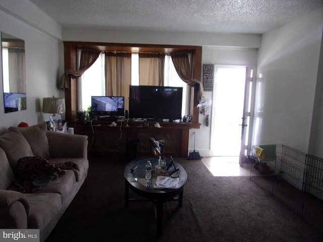 carpeted living room with a textured ceiling