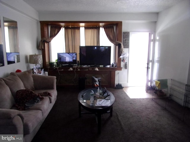 carpeted living room featuring a textured ceiling and a healthy amount of sunlight