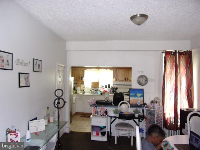 home office with a textured ceiling