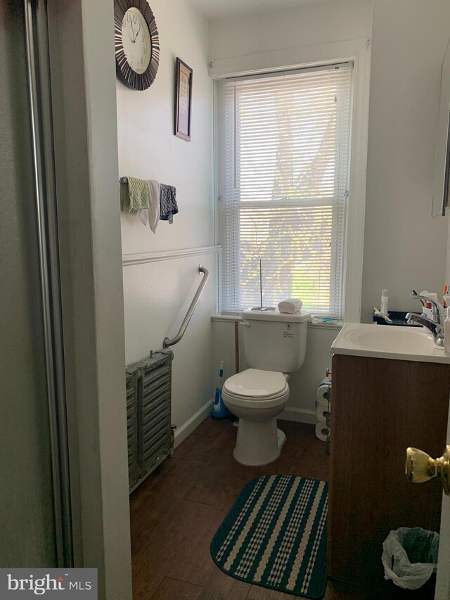 bathroom with wood-type flooring, vanity, and toilet