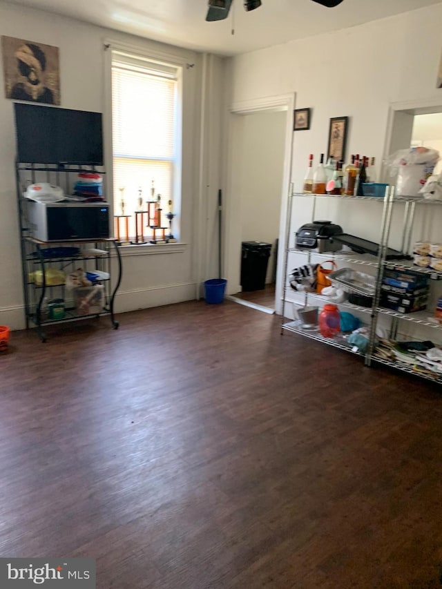 interior space featuring ceiling fan and dark wood-type flooring