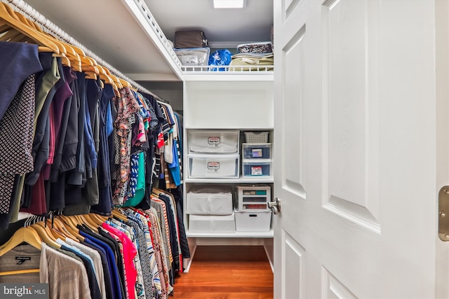 walk in closet featuring wood-type flooring