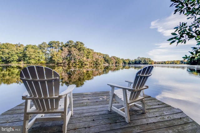 view of dock with a water view