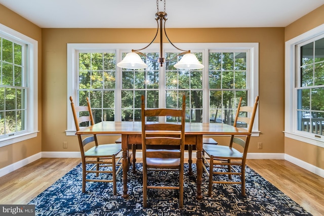 dining room with a healthy amount of sunlight and hardwood / wood-style floors