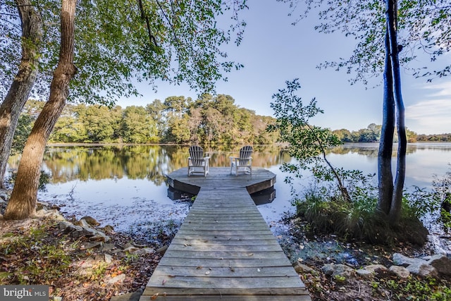 dock area with a water view