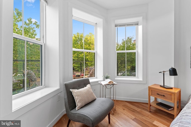 living area featuring light hardwood / wood-style floors and a healthy amount of sunlight