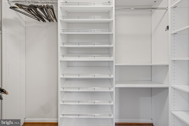 walk in closet with wood-type flooring