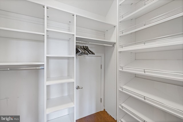 spacious closet with dark hardwood / wood-style floors