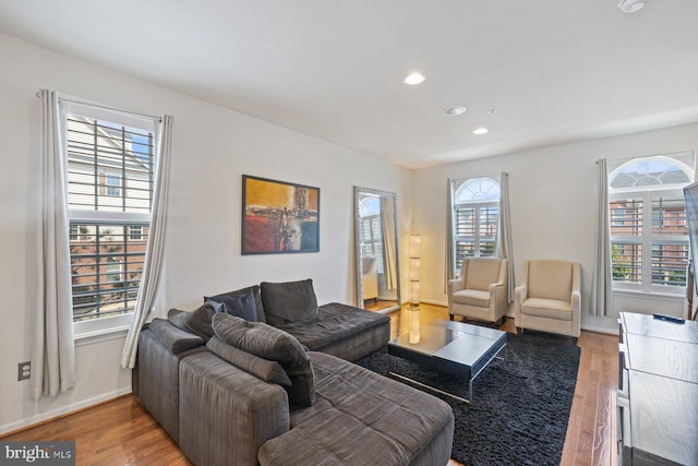 living room with hardwood / wood-style floors and a healthy amount of sunlight