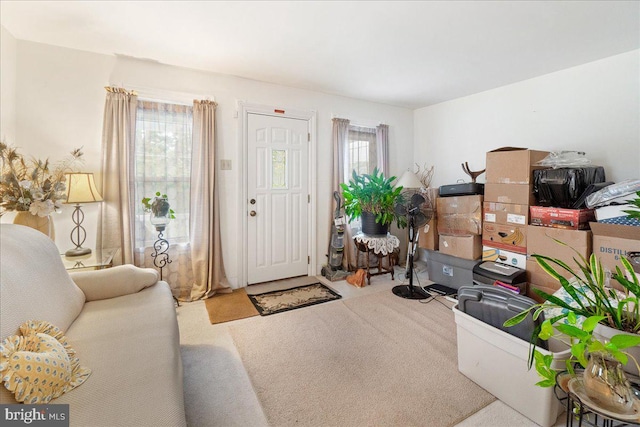 view of carpeted entrance foyer