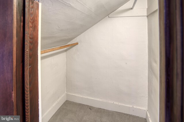 walk in closet featuring vaulted ceiling and carpet flooring